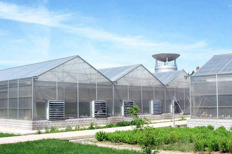 Fabricante de placas de policarbonato para invernaderos en China