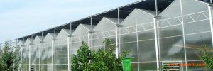Twin wall Greenhouse roofing panel