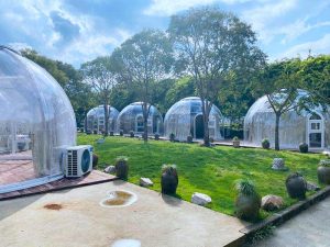 Clear Glamping Bubble Tent
